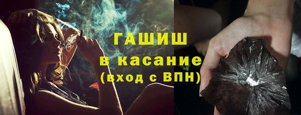 гидра Елабуга