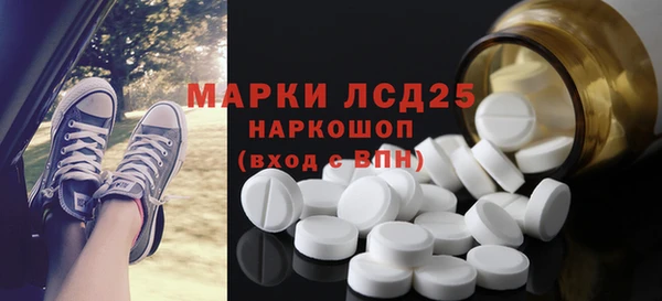 гидра Елабуга