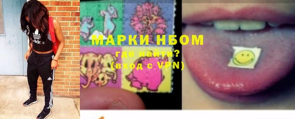 гидра Елабуга