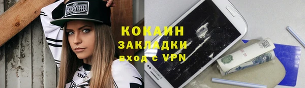 винт Ельня