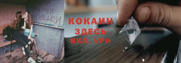 гидра Елабуга