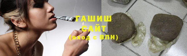винт Ельня