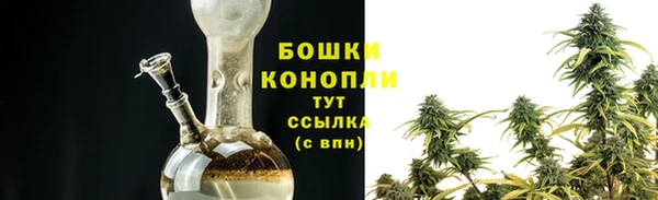 гидра Елабуга