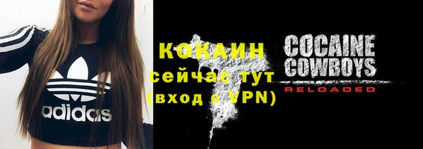 гидра Елабуга