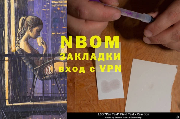 гидра Елабуга