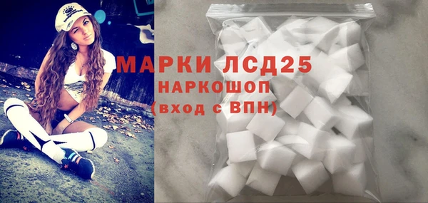 винт Ельня