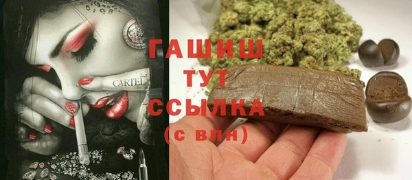 винт Ельня