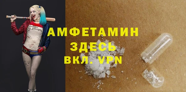 гидра Елабуга