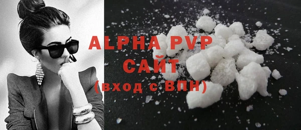 винт Ельня