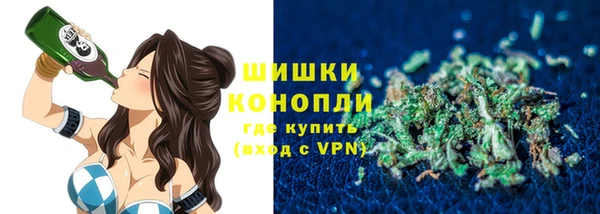 винт Ельня