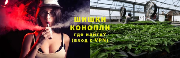 винт Ельня