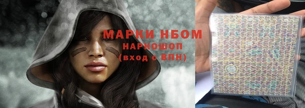 винт Ельня